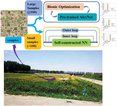 Weed Density Extraction Based on Few-Shot Learning Through UAV Remote Sensing RGB and Multispectral Images in Ecological Irrigation Area